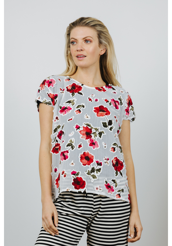 Oasis Women's Tee Tops Buy Women's Tops Online at Best Prices from