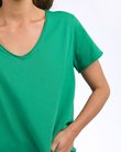 Elm Pima Vee Tee