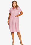 Mini Check Collar Dress
